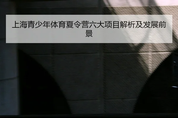 上海青少年体育夏令营六大项目解析及发展前景（www.leyu.com）